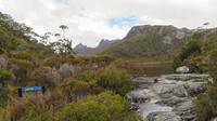 Cradle Mountain Nationalpark, Tasmanien