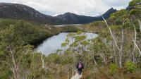 Cradle Mountain Nationalpark, Tasmanien