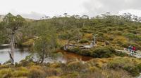 Cradle Mountain Nationalpark, Tasmanien