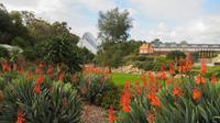 Botanischer Garten in Adelaide