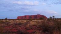 Sonnenaufgang am Uluru / Ayers Rock