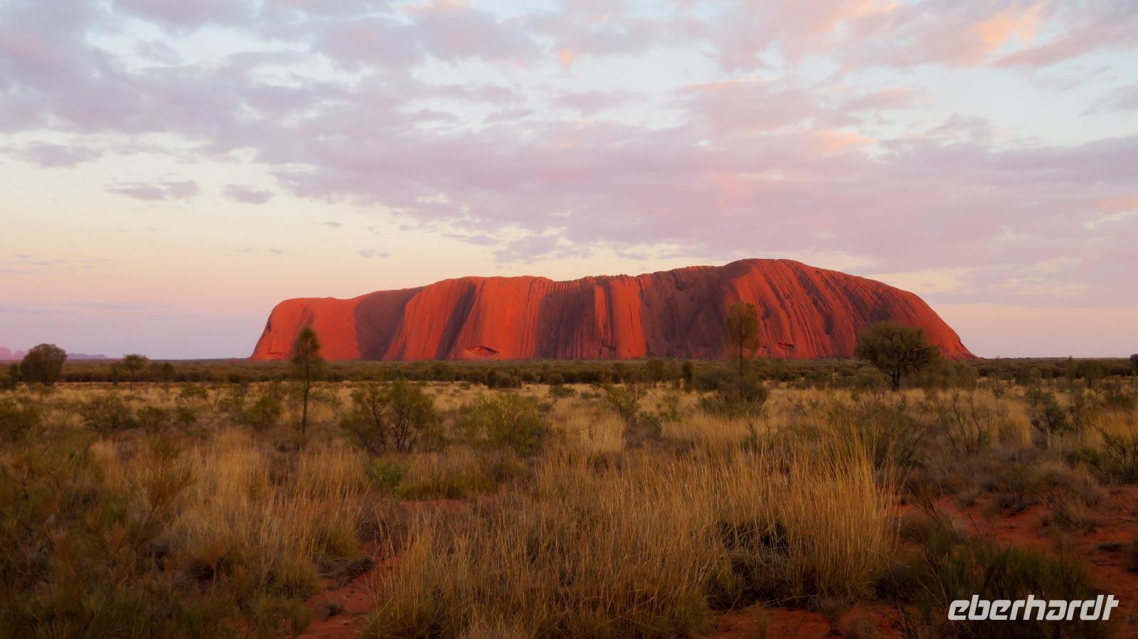 Sonnenaufgang am Uluru / Ayers Rock