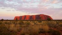Sonnenaufgang am Uluru / Ayers Rock