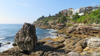 Küstenspaziergang zum Bondi Beach, Sydney