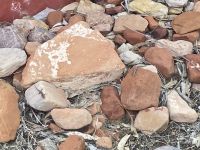 Botanischer Garten Alice Springs