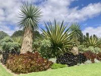 Botanischer Garten Adelaide 