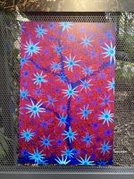 Botanischer Garten Adelaide 