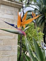 Seppeltsfield Barossa Valley