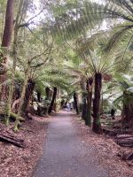 Russell Wasserfälle