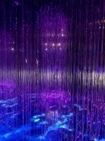 Flower Dome und Cloud Forest 