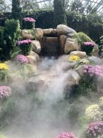 Flower Dome und Cloud Forest 