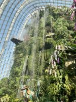 Flower Dome und Cloud Forest 