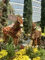 Flower Dome und Cloud Forest 