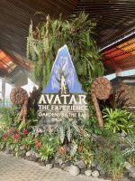 Flower Dome und Cloud Forest 