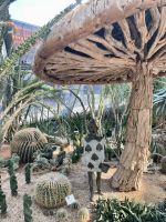 Flower Dome und Cloud Forest 