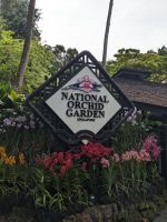 24. Botanischer Garten Singapur