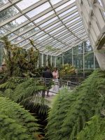 27. Botanischer Garten Singapur