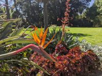 42. Botanischer Garten Melbourne, Australien