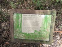 62. Mait`s Rainforest, Great Ocean Road, Australien