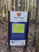 95. Mt. Field Nationalpark, Tasmanien