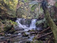 100. Horseshoe Falls, Mt. Field Nationalpark, Tasmanien