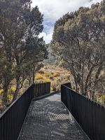 119. Dove Lake, Cradle Mountain Nationalpark-Besuch, Tasmanien