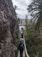 124. Dove Lake, Cradle Mountain Nationalpark-Besuch, Tasmanien