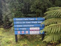 143. Nelson Falls, Tasmanien