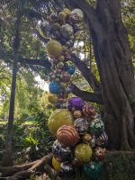 193. Botanischer Garten Adelaide, Australien