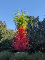 197. Botanischer Garten Adelaide, Australien