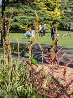 198. Botanischer Garten Adelaide, Australien