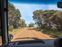 211. Rundfahrt Kangeroo Island, Australien