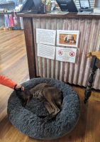 215. Emu Farm Kangeroo Island, Australien