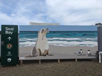 219. Seal Bay, Kangeroo Island, Australien