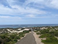 221. Seal Bay, Kangeroo Island, Australien