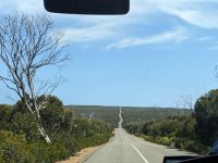 228. Rundfahrt Kangeroo Island, Australien