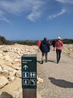 229. Remarkable Rocks, Kangeroo Island, Australien
