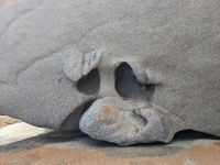 234. Remarkable Rocks, Kangeroo Island, Australien