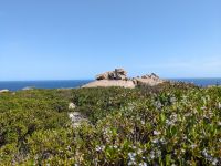 239. Remarkable Rocks, Kangeroo Island, Australien