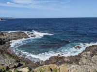 240. Admirals Arch, Kangeroo Island, Australien