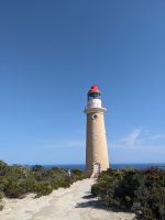 247. Admirals Arch, Kangeroo Island, Australien