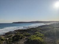 251. Rundfahrt Kangeroo Island, Australien