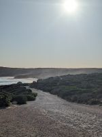 253. Rundfahrt Kangeroo Island, Australien