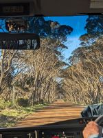 255. Rundfahrt Kangeroo Island, Australien