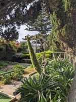 272. Penneshaw, Kangeroo Island, Australien