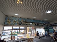 273. Fährüberfahrt von Kangeroo Island, Australien