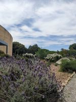 278. Mittagspause im McLaren Visitor Center, Australien