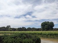 279. Mittagspause im McLaren Visitor Center, Australien