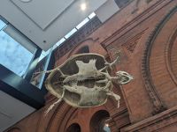 309. South Australian Museum, Adelaide, Australien