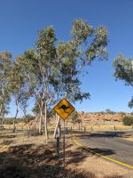 326. Achtung Kängeru, Outback, Australien